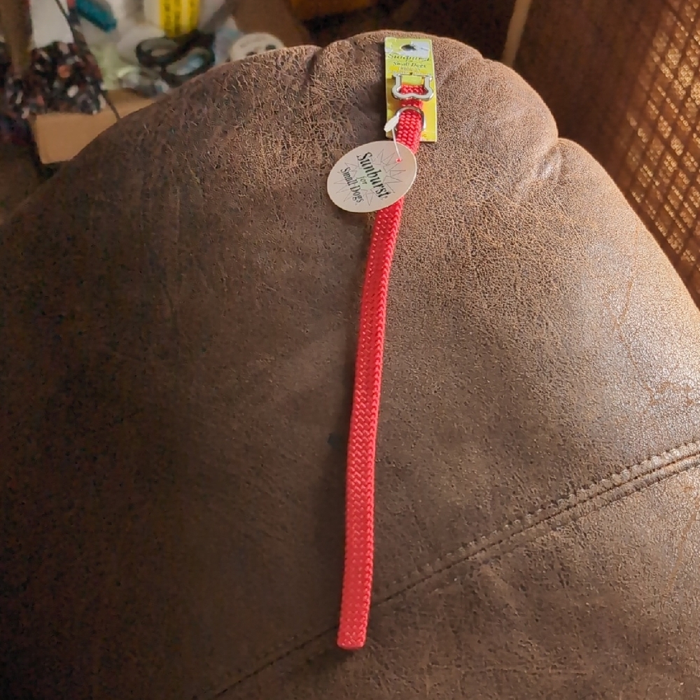 Sunburst Collar For Small Dogs